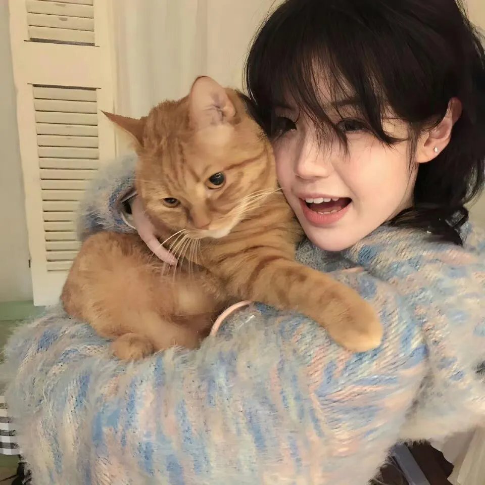 大小姐与绝世神厨